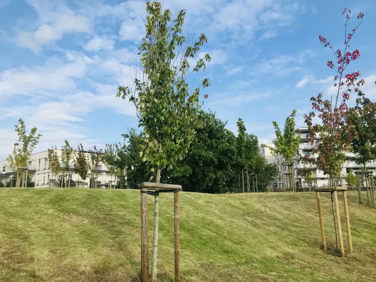 Mieszkanie na wynajem Warszawa, Mokotów 15